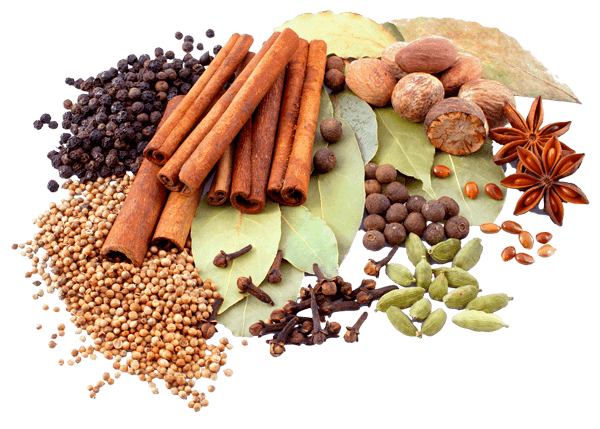 Ceylon Spicy